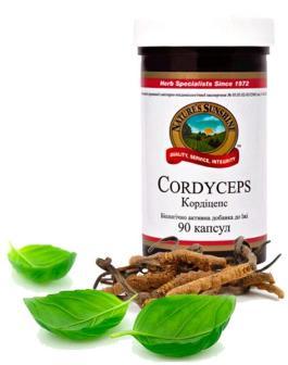 Cordyceps — Кордицепс - 2