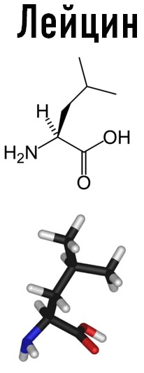 Free Amino Acids — Свободные аминокислоты (Пептовит) - 1