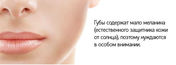 Lip Balm SPF 15 — Бальзам для Губ - 3