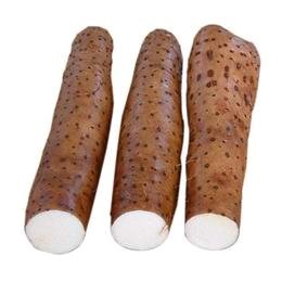 Wild Yam — Дикий Ямс - 5