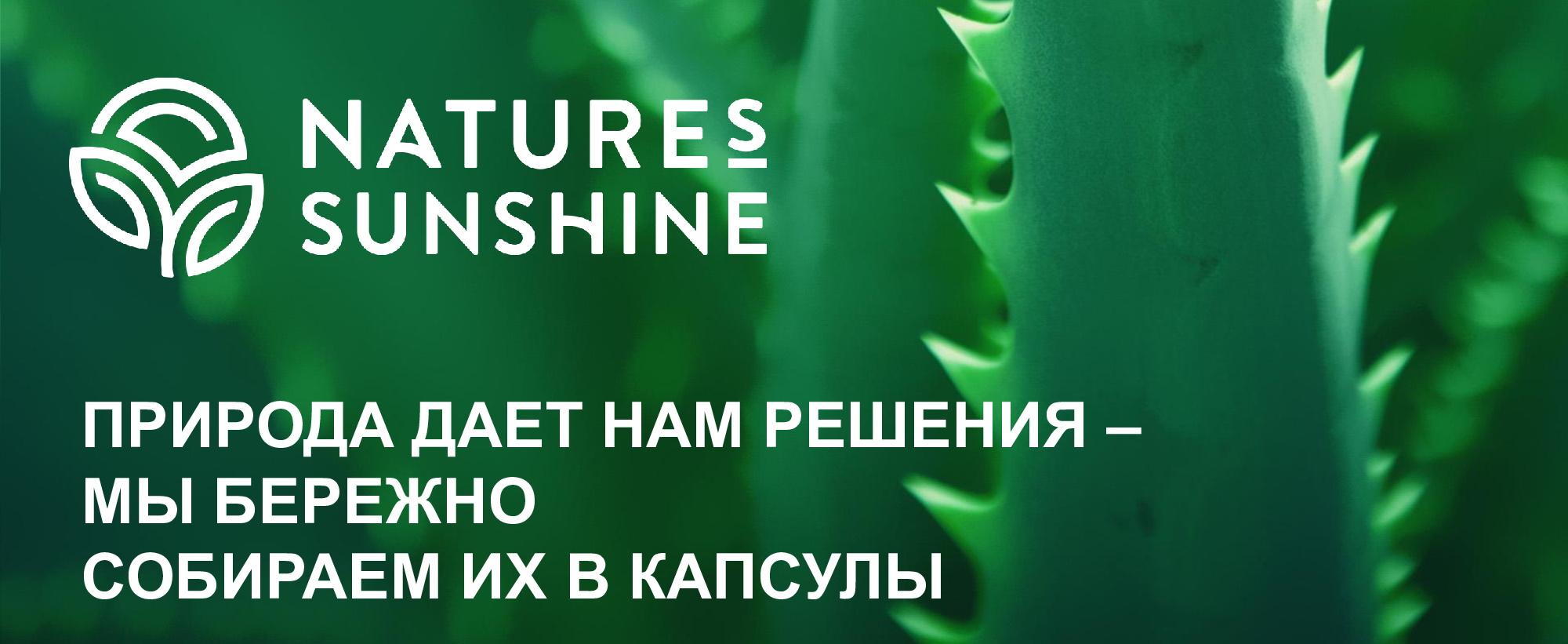 Контроль качества и сертификация бад Nature’s Sunshine Products 5410c9c09fa70e843e3130149e904a81 27 - Контроль качества и сертификация бад Nature’s Sunshine Products