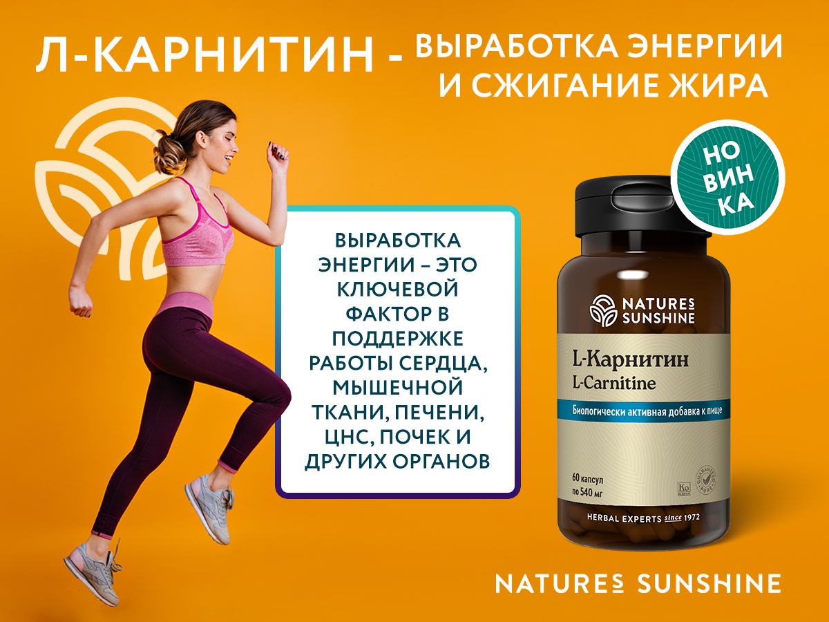 L-carnitine — L-карнитин