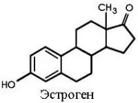 Си-Экс