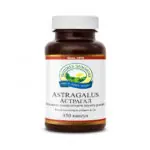 Astragalus — Астрагал