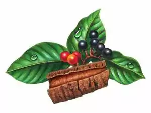 Состав – 1 капсула: