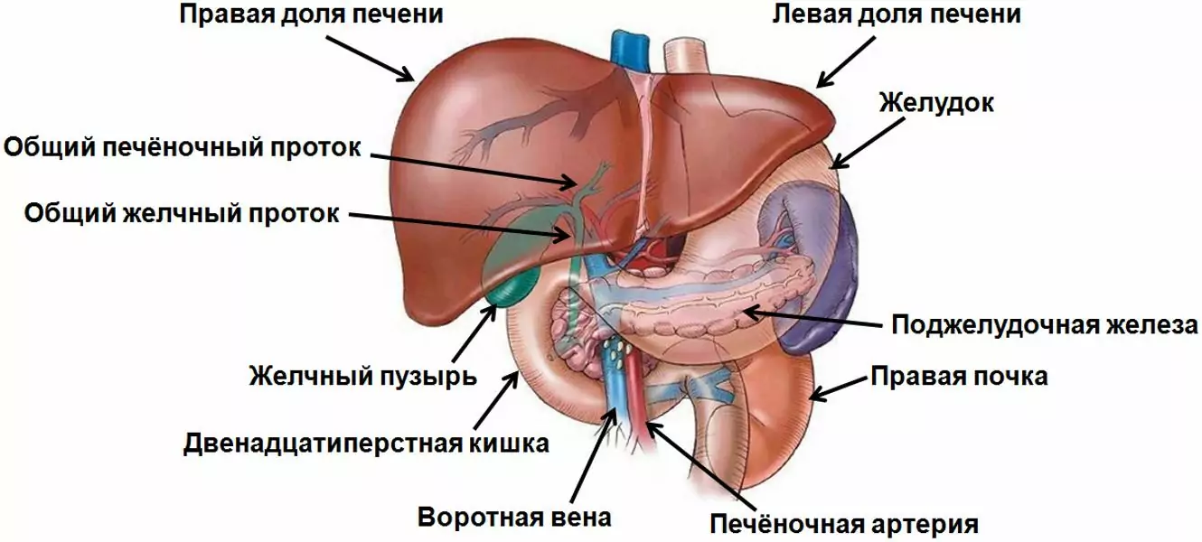 Начинать нужно с питания