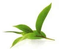 Способ применения;