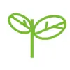 Контроль качества и сертификация бад Nature’s Sunshine Products - 36